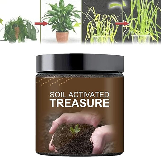 Premium Soil Activator 200gram (Pack of 2)