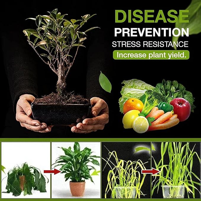 Premium Soil Activator 200gram (Pack of 2)